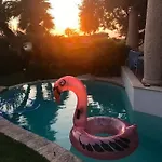 La Forma Dell'acqua