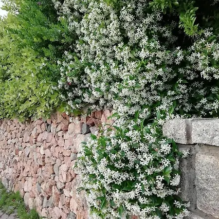 Panzió La Forma Dell'acqua Su Forti