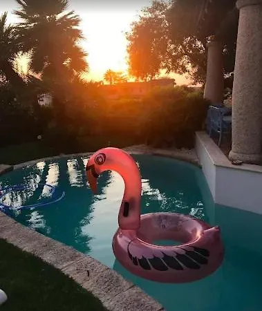 La Forma Dell'acqua