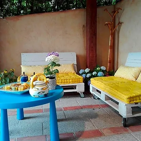 La Forma Dell'acqua 4*