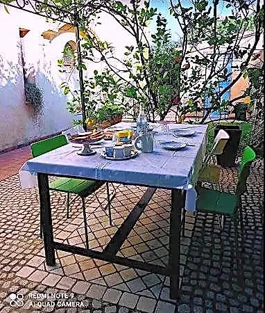 La Forma Dell'acqua Su Forti